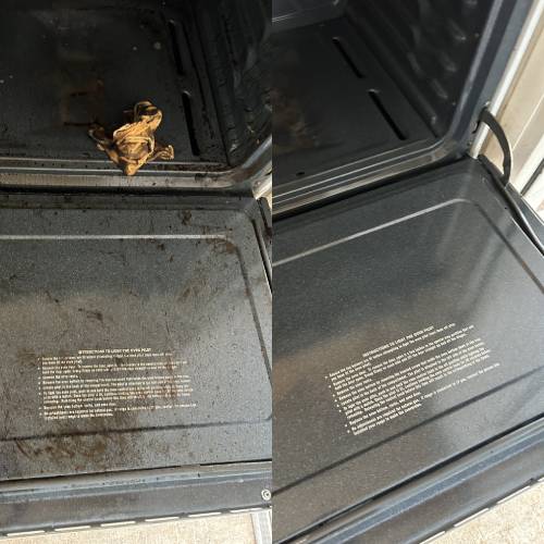 Deep Cleaning